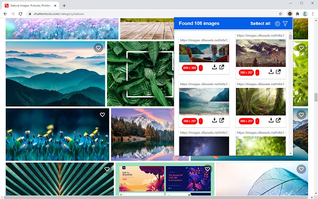shutterstock images downloader 1.3.4 pre +Patched